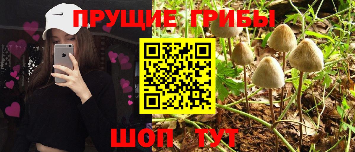 Галлюциногенные грибы мухоморы Нижнеудинск