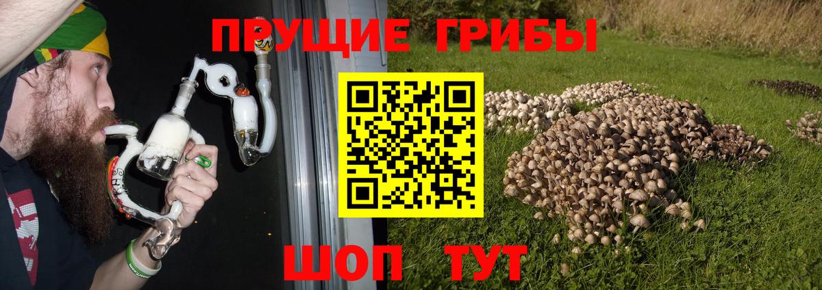 Нижнеудинск  Псилоцибиновые грибы мицелий  Псилоцибиновые грибы MAGIC MUSHROOMS  Вход с VPN 